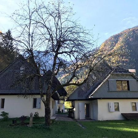 Cozy Cottage In The Heart Of The Triglav National Park Soca Bagian luar foto
