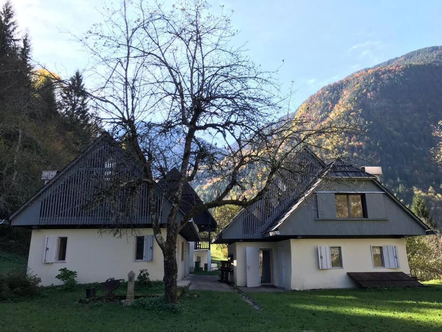 Cozy Cottage In The Heart Of The Triglav National Park Soca Bagian luar foto