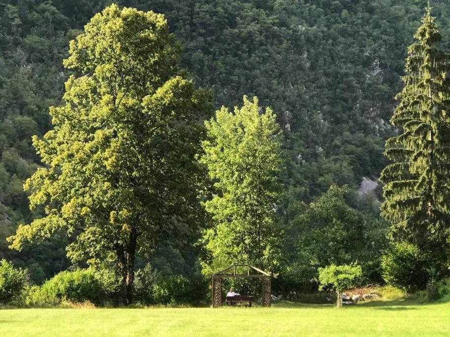 Cozy Cottage In The Heart Of The Triglav National Park Soca Bagian luar foto