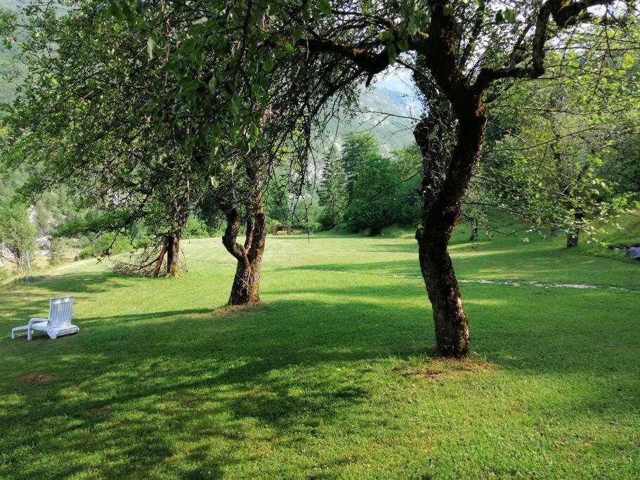 Cozy Cottage In The Heart Of The Triglav National Park Soca Bagian luar foto