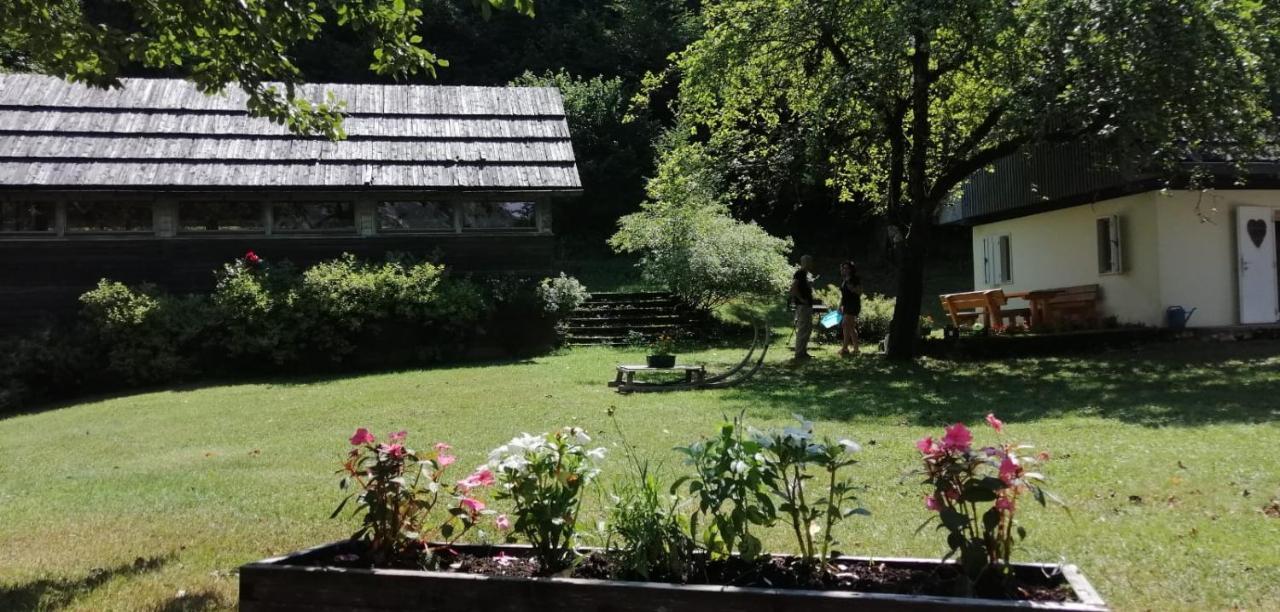 Cozy Cottage In The Heart Of The Triglav National Park Soca Bagian luar foto