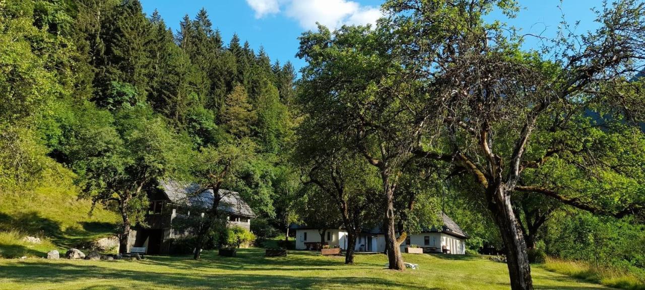 Cozy Cottage In The Heart Of The Triglav National Park Soca Bagian luar foto