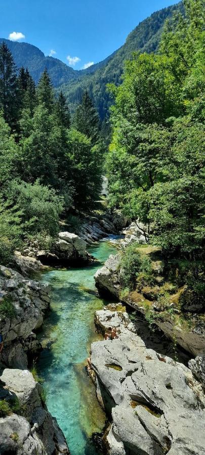 Cozy Cottage In The Heart Of The Triglav National Park Soca Bagian luar foto